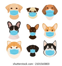 A set of dog heads in protective masks on a white background. Cartoon design.
