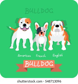 Set dog icon flat design. American, french and english bulldogs