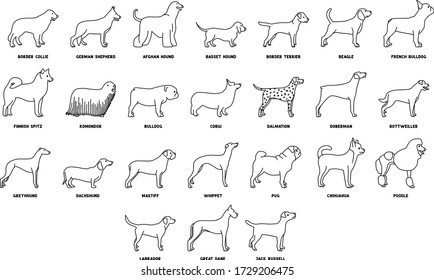 A set of dog illustrations icons