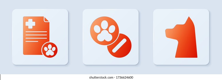 Set Dog and pills, Clipboard with medical clinical record pet and Cat. White square button. Vector