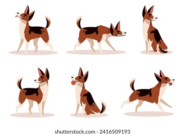 Juego de poses para perros. Feliz y enojado mascota sentada, parada y corriendo. Animales domésticos con diferentes emociones. Un mamífero juguetón de Purebred, adorable cachorro divertido. Juego de vectores aislados planos de dibujos animados