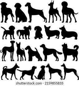 set of dog silhouette, on white background, isolated