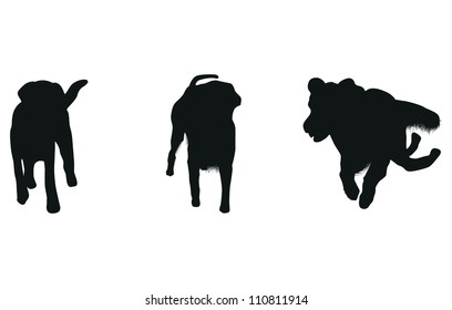 set of dog silhouettes