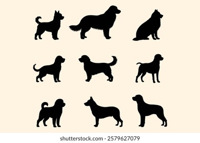 Set of dog silhouettes featuring various breeds in standing and sitting positions. Black vector illustrations on a white background.