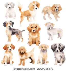Set of dog, dog type