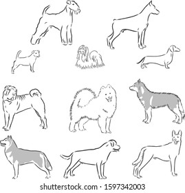 Set of dog, vector sketch illustration 