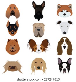 Set of Dog Vectors and Icons SET 2