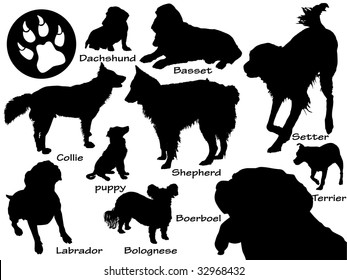 set of dogs