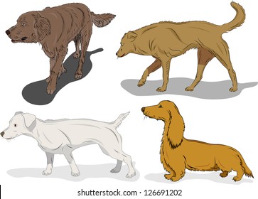 Set Dogs Action On White Background Stock Vector (Royalty Free ...