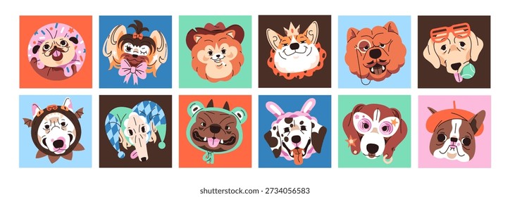 Set of dogs' avatars with square shape. Portraits of cute faces of amusing puppies. Funny muzzles of happy pups: bulldog, corgi, husky, pug. Flat isolated vector illustrations on white background