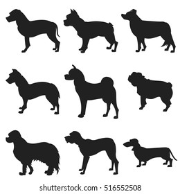 Set of dogs black silhouette