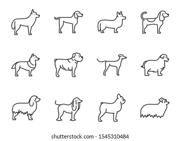 set of dogs breed standing icons linear style vector illustration