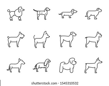 set of dogs breed standing icons linear style vector illustration