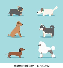 Hundestation. Cartoon, Vektorgrafik. Tierklinik. Flacher Stil. 