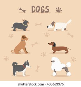 Set of dogs. Cartoon vector illustration. Vet clinic. Isolated background. Flat style