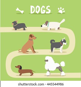 Set of dogs. Cartoon vector illustration. Park. Isolated background. Flat style. 