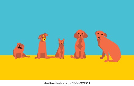 Set of dogs and cat vector illustration