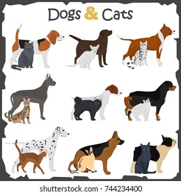 Set of dogs and cats different breeds color flat icons set
