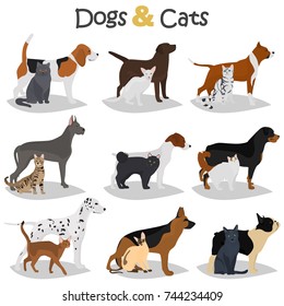 Set of dogs and cats different breeds color flat icons set