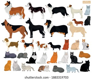 A set of dogs and cats of various breeds on a light background. Collection of animals.	