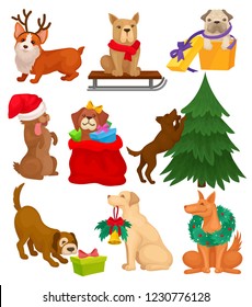 Set of dogs with Christmas elements. Home pets. Winter holidays theme. Flat vector elements for postcard or poster