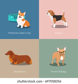 Set of dogs different breed vector illustration