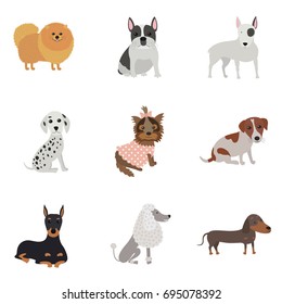 Set of dogs of different breeds