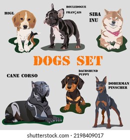 A set of dogs of different breeds on a light background