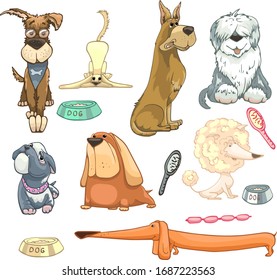 set of dogs of different breeds, shepherd, poodle, commander, bulldog, labrador, dachshund, color cartoon vector illustration, hand drawing