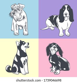 Set of dogs of different breeds vector illustration