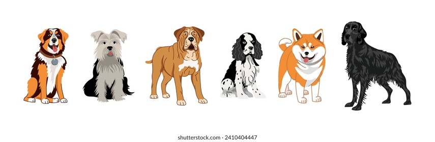 A set of dogs of different breeds. Vector illustration on a white  of a Setter, spaniel, terrier, mastiff, shiba inu, akita.