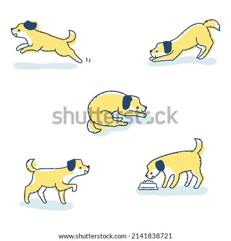 A set of dogs in different poses