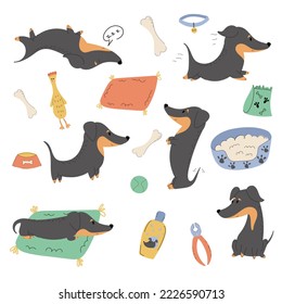 Set of dogs in different poses and accessories for care, equipment, feeding