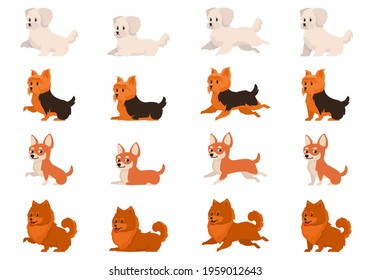 Set of dogs in different poses. Bichon Bolognese, Yorkshire Terrier, Chihuahua and Spitz in cartoon style.