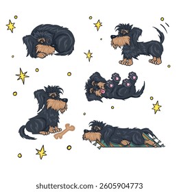 Set of dogs in different poses, colored cartoon vector.