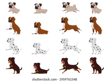 Set of dogs in different poses. Pug, Boxer dog, Dalmatian and Rottweiler in cartoon style.