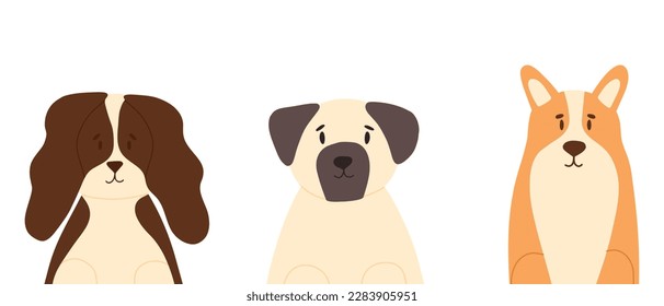 Set of dogs in flat style. Vector illustration. Collection of purebred dogs isolated on white background. Spaniel, pug, corgi.