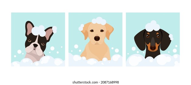 A set of dogs in foam. Grooming. Cartoon design.
