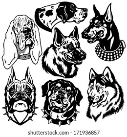 set with dogs heads icons, difference breeds, black and white pictures