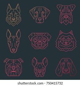 Set of dog's heads made in simple geometric style.Vector illustration with pictures of german shepherd, labrador, terrier, bull terrier, pug, spitz, english bulldog, french bulldog, beagle. Dog faces.