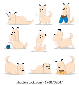 Set of dogs, isolated on white background. Dog daily routine set, cute little dog in his everyday activity. Flat vector illustration