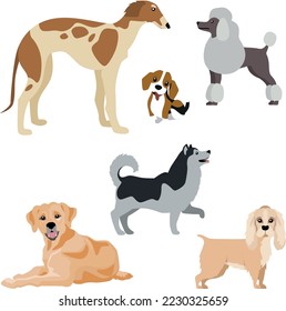 Set of dogs isolated on white background