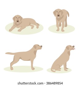 Set of dogs of Labrador Retriever breed illustration
