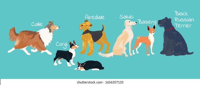 Set of dogs on the turquoise background with captions. Vector illustration. Cartoon style
