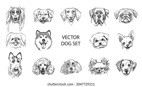 Set of dogs portrait, black gray graphic. Hand drawn sketch. Different breeds dalmatin, dachhund, spitz, poodle, terrier, husky, chihuahua, shepherd. Vector illustration isolated on white background