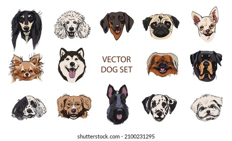 Set of dogs portrait. Hand drawn sketch. Different breeds dalmatian, dachhund, spitz, poodle, terrier, husky, chihuahua, shepherd, mops.Vector illustration isolated on white background