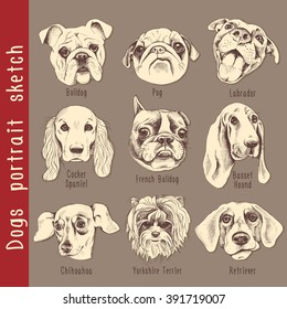 Set of dogs portrait sketch. Vector illustration.