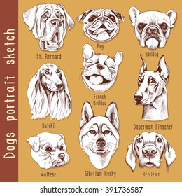 Set of dogs portrait sketch. Vector illustration.