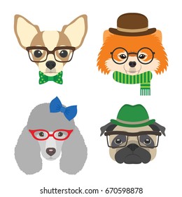 Set of dogs portraits. Chihuahua, pug, poodle, pomeranian glasses wearing glasses and accessories in flat style. Vector illustration of Hipster dogs  for cards, t-shirt print, placard, avatars.