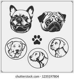 Set of dogs portraits. French Bulldog, Pug and Golden Retriever. Cute friendly pets characters. Emblems for Pets Shop. Print design for t-shirts.